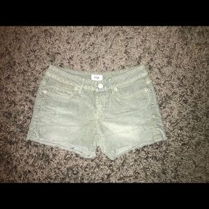 🌸Tokyo Darling Shorts🌸